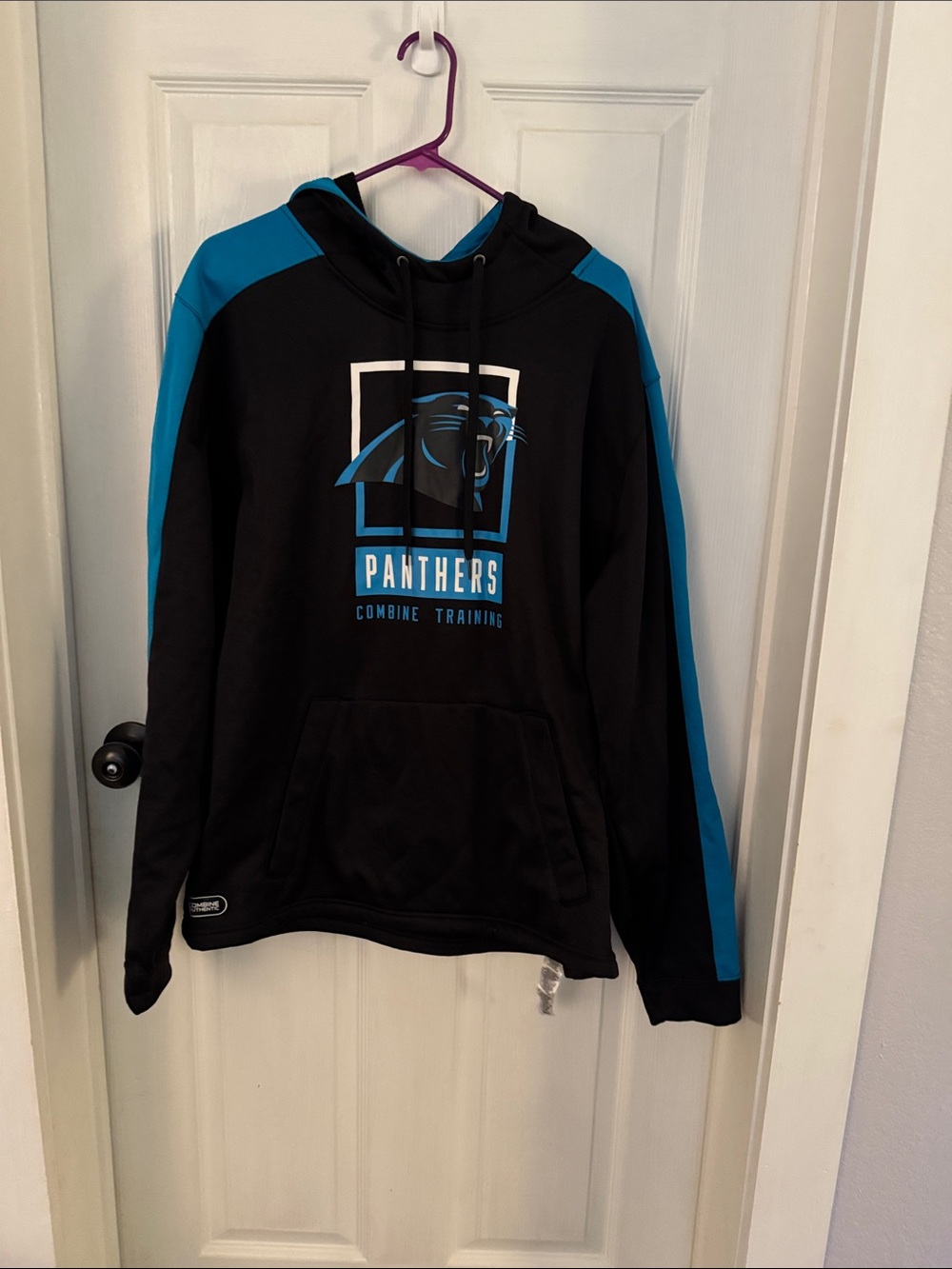 Adult Carolina Panther Hoodie